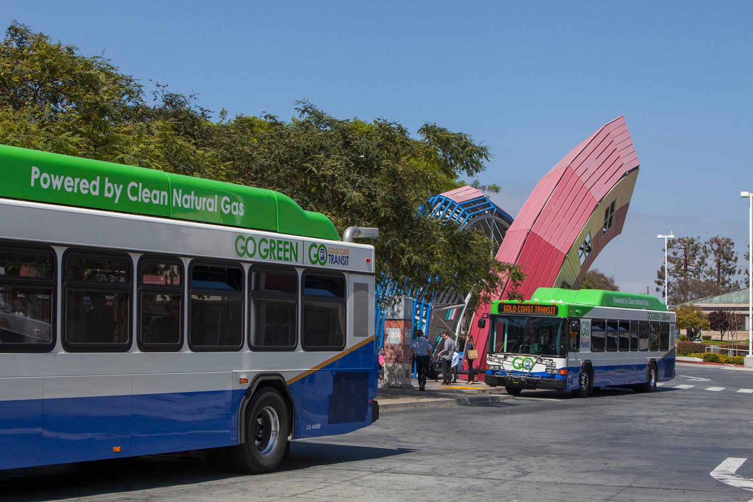 GCTD buses at VTC