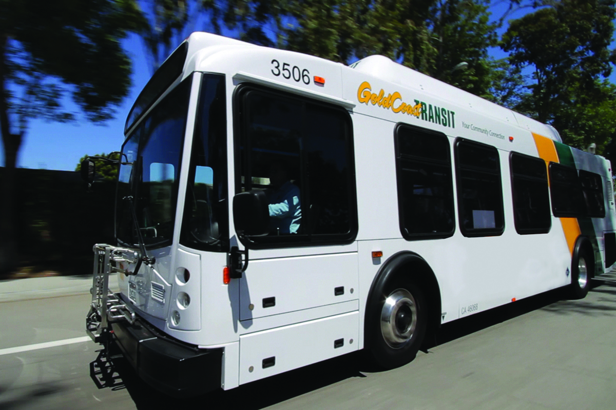 gold coast transit bus older design