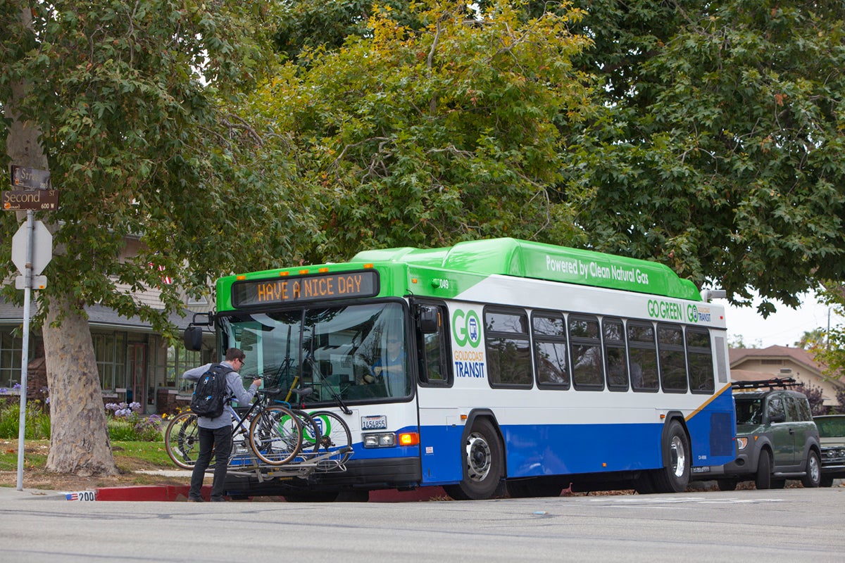 gold coast transit bus current design